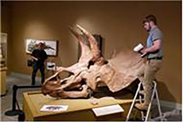 当远古时代遇上高科技——Artec Leo与恐龙头骨面对面