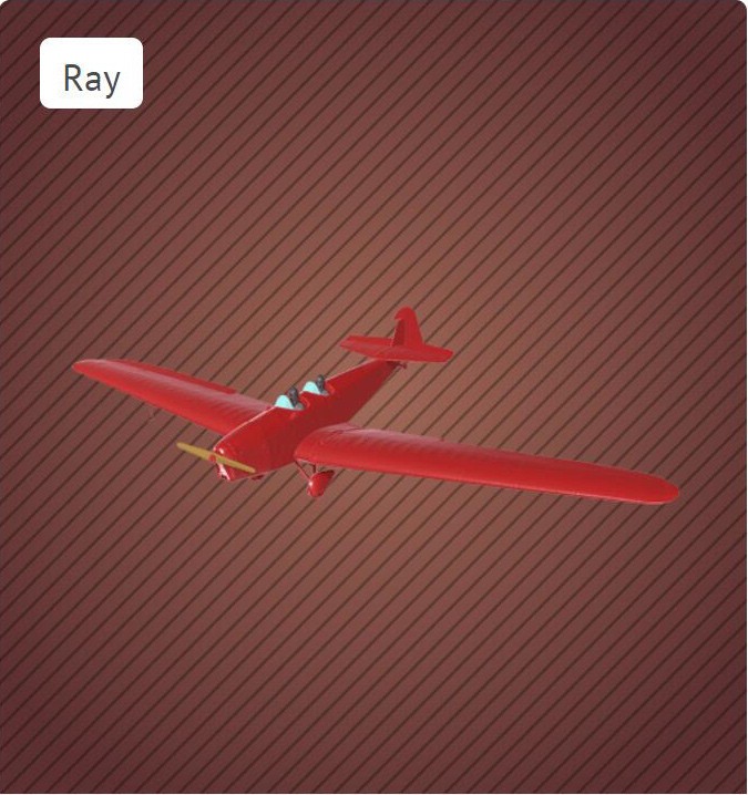 带纹理飞机