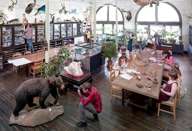 使用Artec Space Spider将自然标本数字化用于线上浏览