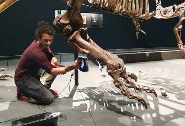 远古霸王龙在日本博物馆二次遇见埃太科三维，会擦出什么样的火花？