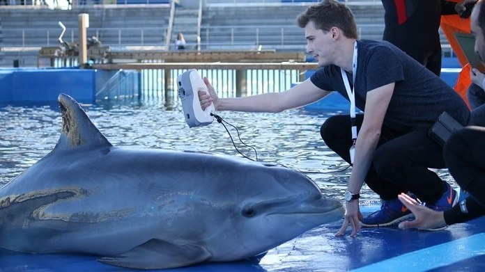 使用Artec Eva 3D扫描科技实现先进的海洋生物追踪技术