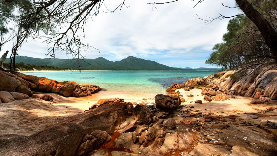 使用Artec Micro以数字方式保存珍贵的塔斯马尼亚贝壳